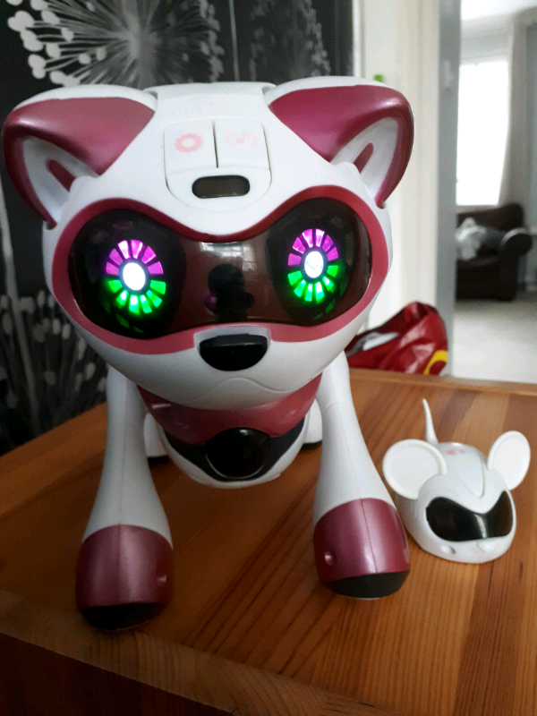 teksta cat